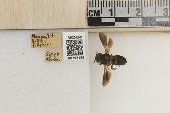 Media type: image;   Entomology 792139 Aspect: Labels